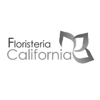Logo Cliente